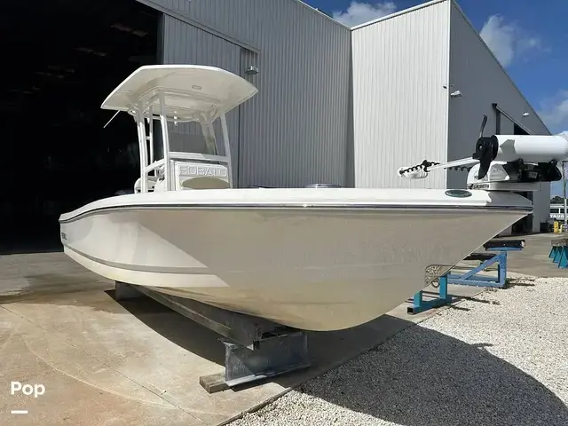 Robalo Cayman 246