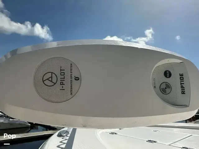 Robalo Cayman 246