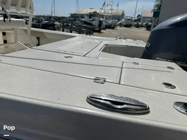 Robalo Cayman 246