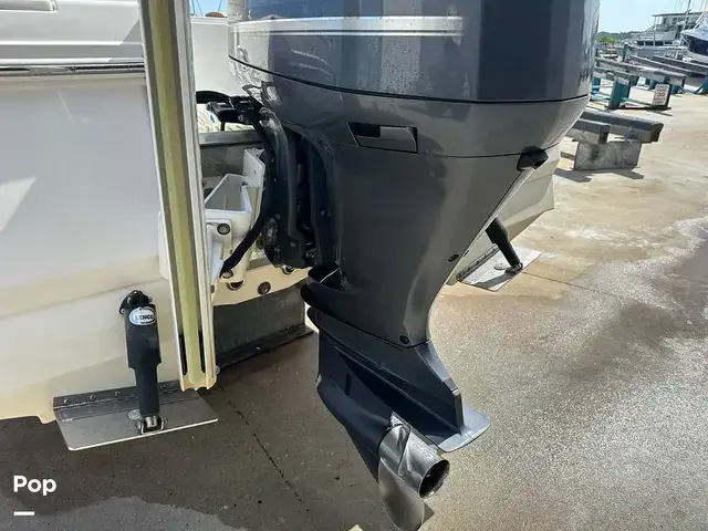 Robalo Cayman 246