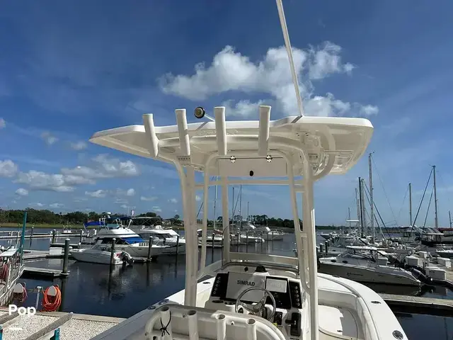 Robalo Cayman 246