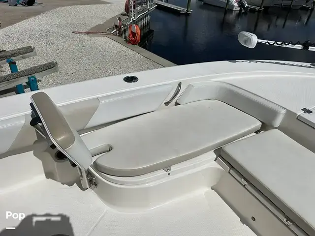 Robalo Cayman 246