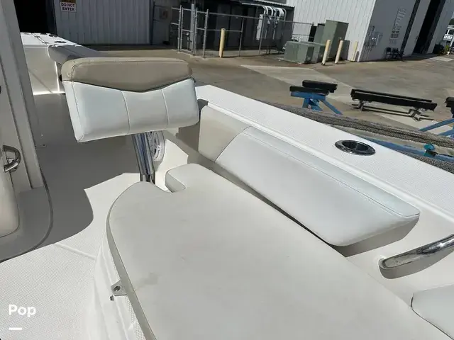 Robalo Cayman 246