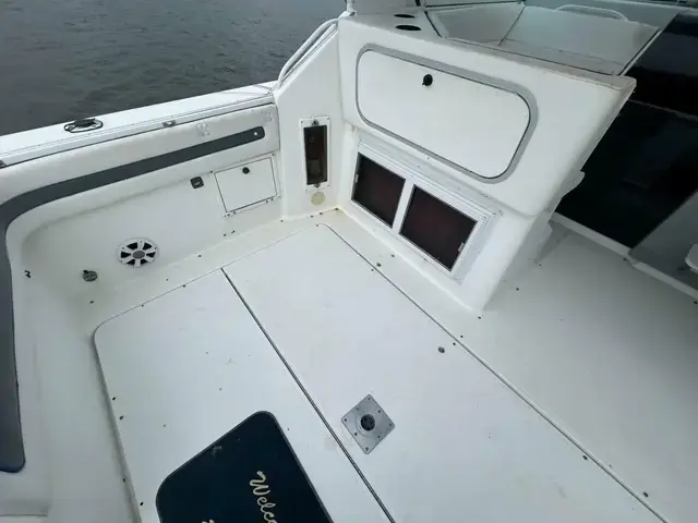 Tiara 29