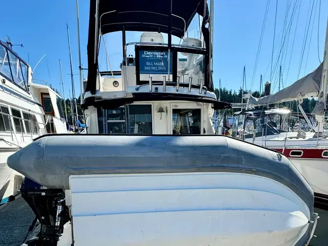 Riviera 36'