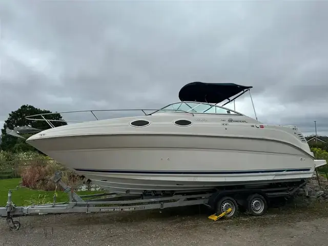 Sea Ray 240 Sundancer