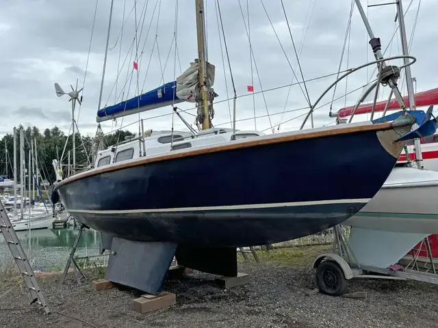 KingFisher 30