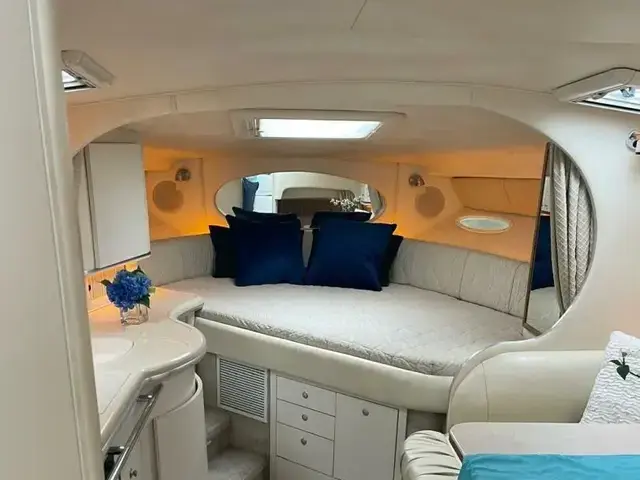 Sea Ray Sundancer 310