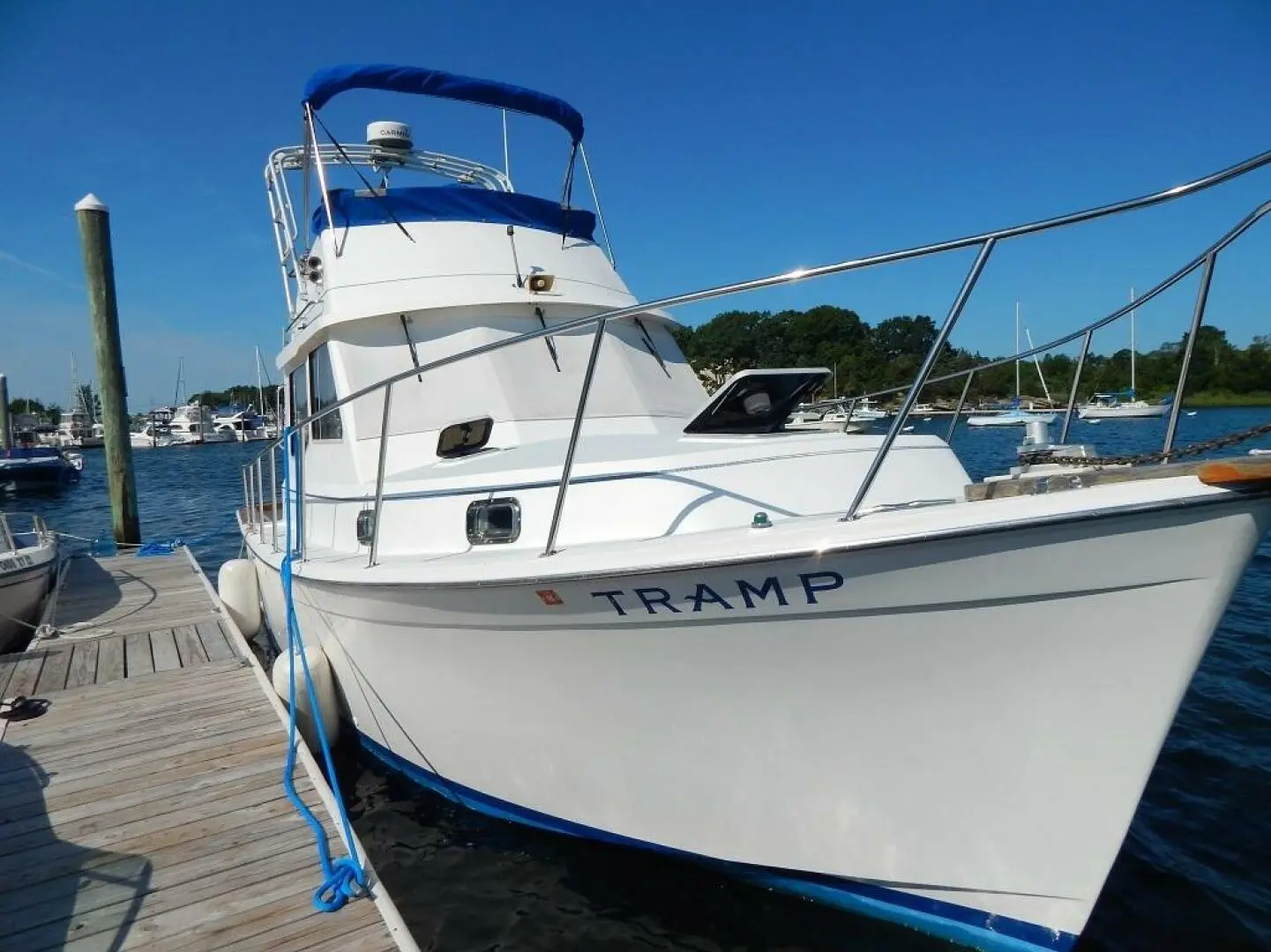 1990 Cape Dory flybridge