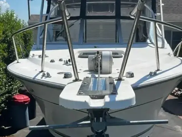 Sport Craft Fisherman 252