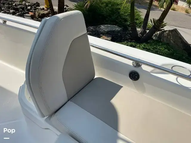 Boston Whaler 240 Dauntless