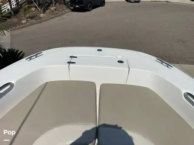 Boston Whaler 240 Dauntless