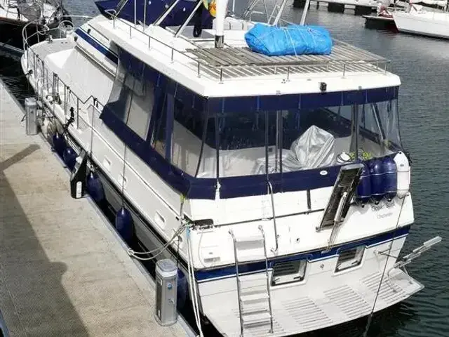 Trader 54 Sunliner