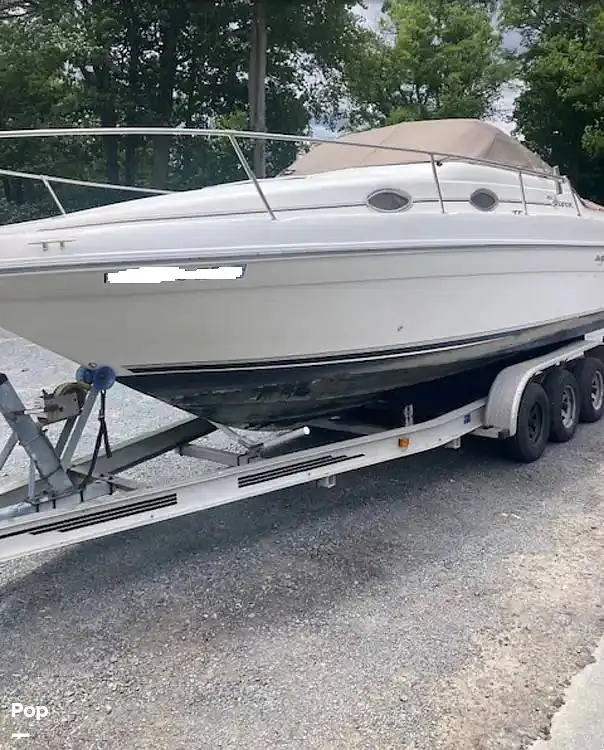 1996 Sea Ray 250 ec