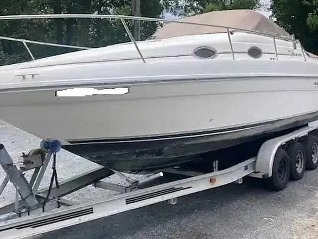 Sea Ray 250 EC