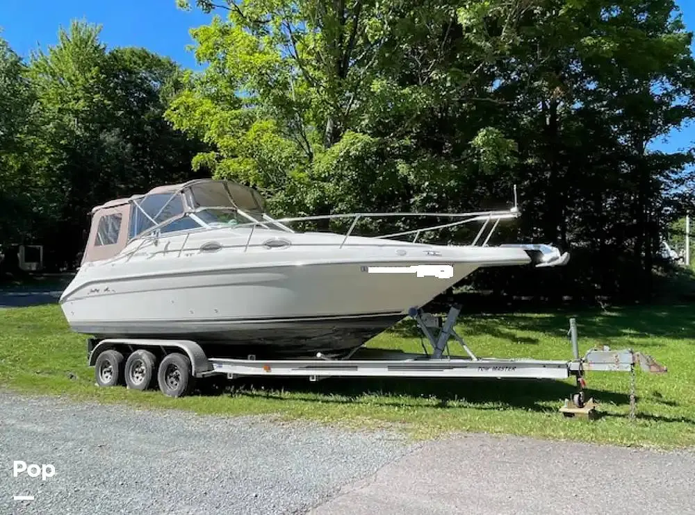 1996 Sea Ray 250 ec