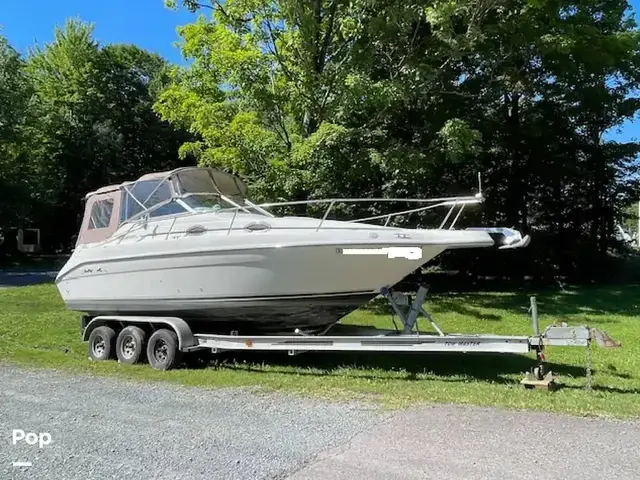 Sea Ray 250 EC