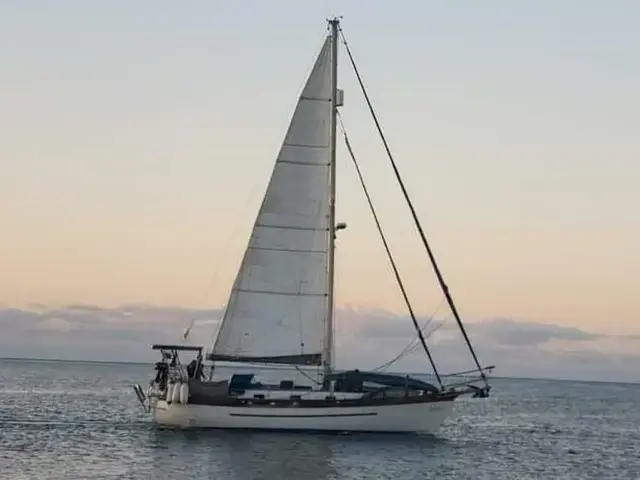 Young Sun Westwind 35