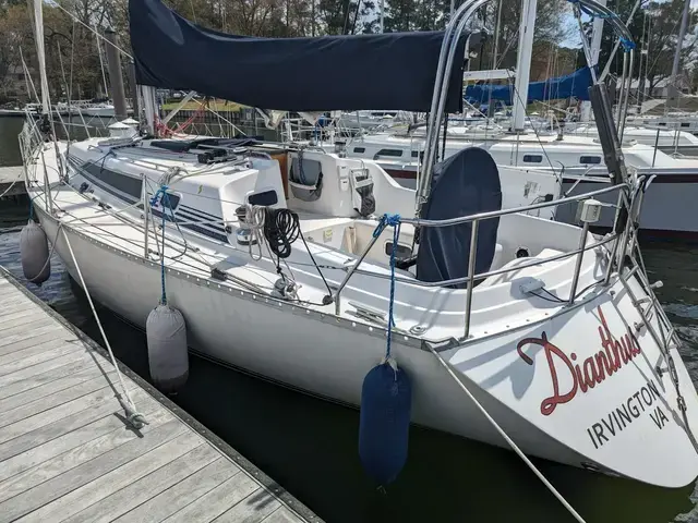 Canadian Sailcraft 36 Merlin