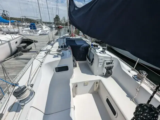 Canadian Sailcraft 36 Merlin