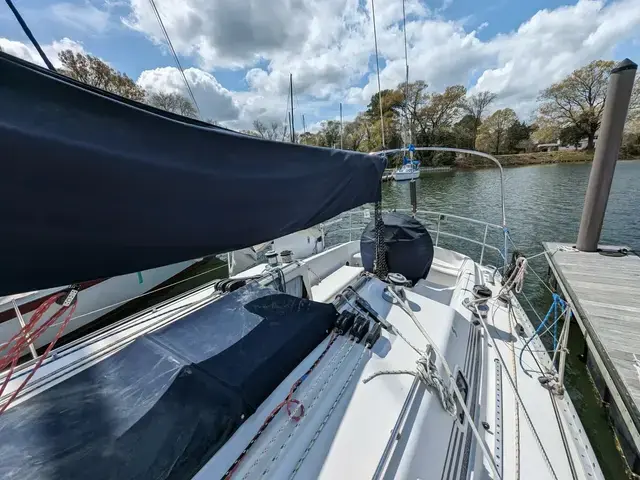 Canadian Sailcraft 36 Merlin