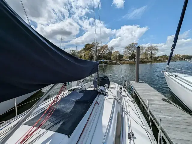 Canadian Sailcraft 36 Merlin