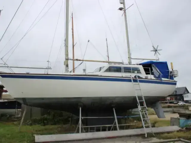 Colvic Victor 34