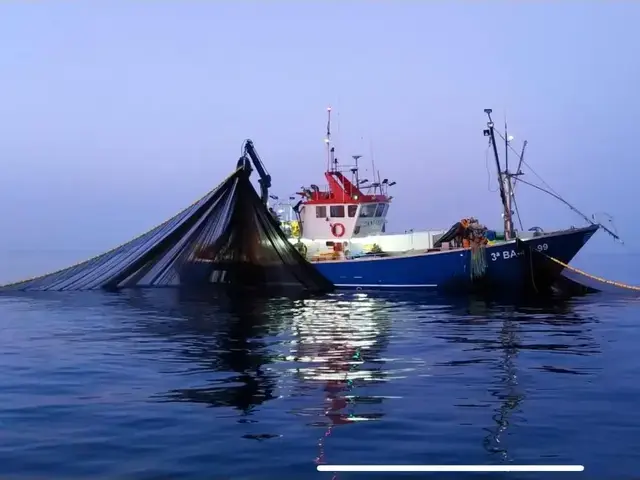 Custom Boats Fishing Boat Ros Carceller