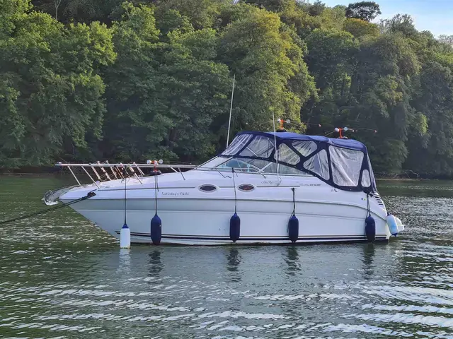 Sea Ray Sundancer 260 (NEW ENGINE 2021!!)