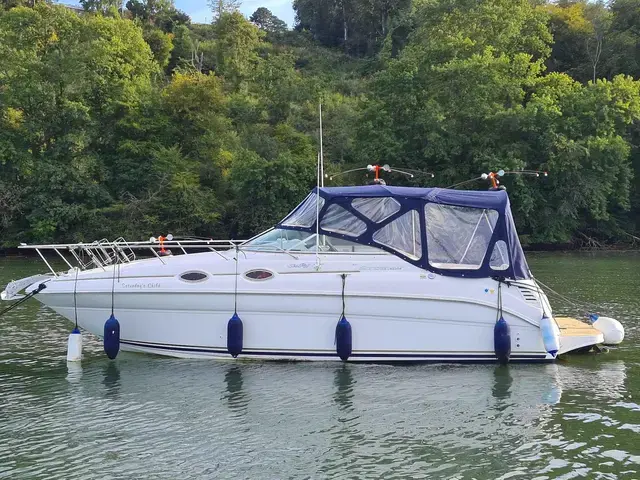 Sea Ray Sundancer 260 (NEW ENGINE 2021!!)