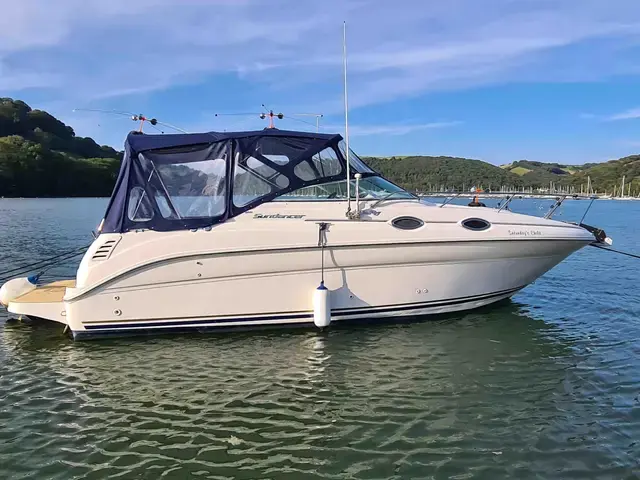 Sea Ray Sundancer 260 (NEW ENGINE 2021!!)