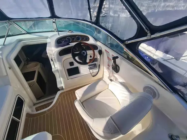 Sea Ray Sundancer 260 (NEW ENGINE 2021!!)