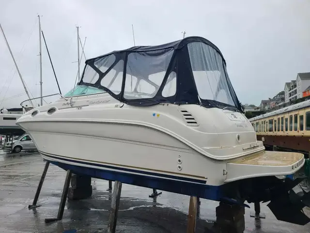 Sea Ray Sundancer 260 (NEW ENGINE 2021!!)