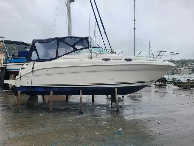 Sea Ray Sundancer 260 (NEW ENGINE 2021!!)