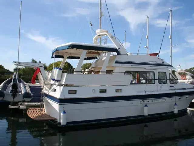 Trader 44