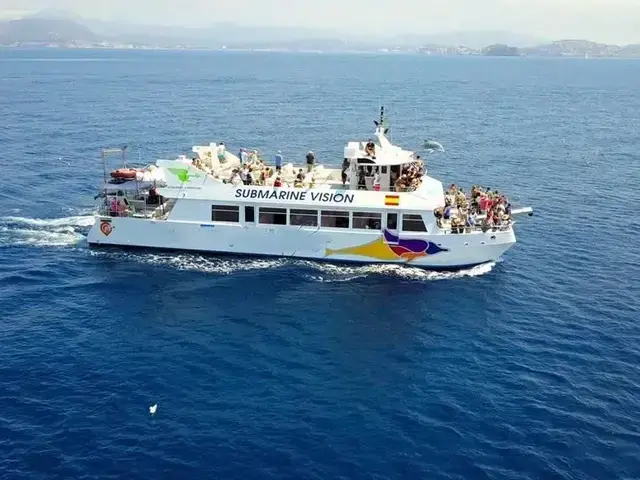 Commercial Catamaran