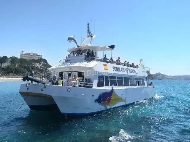 Commercial Catamaran