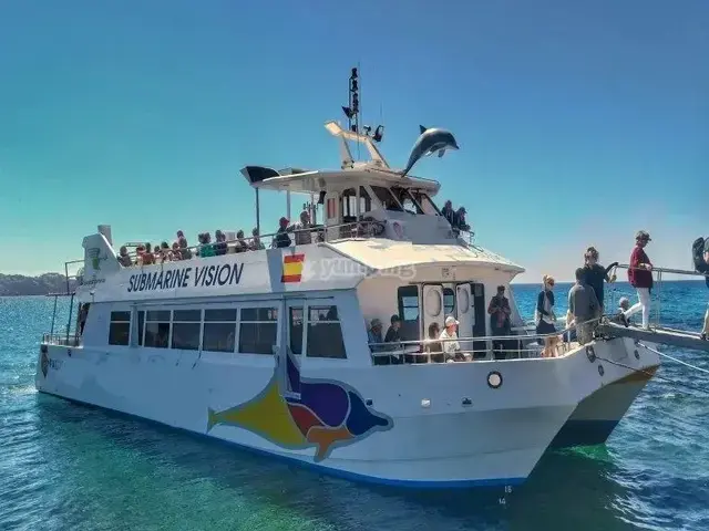 Commercial Catamaran