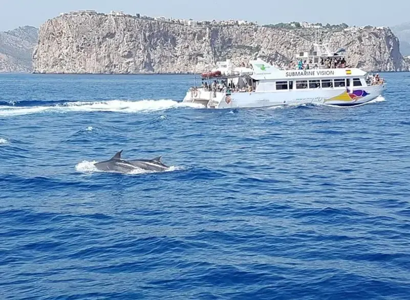 1995 Maritime catamaran