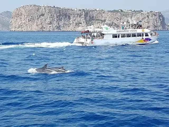 Commercial Catamaran