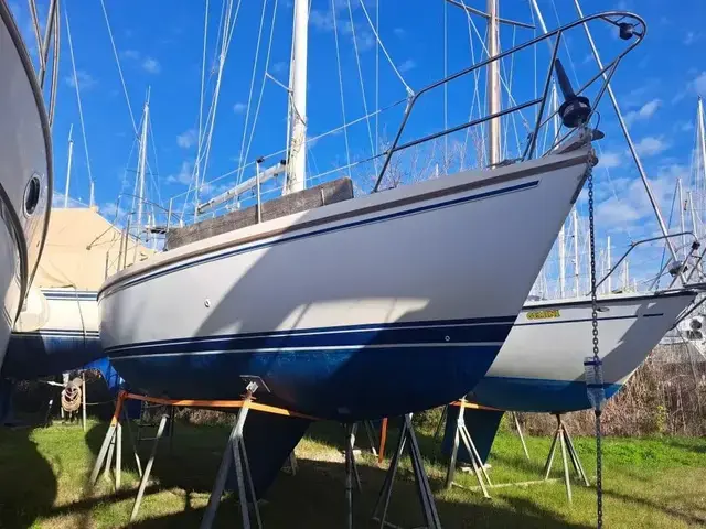 Catalina 34