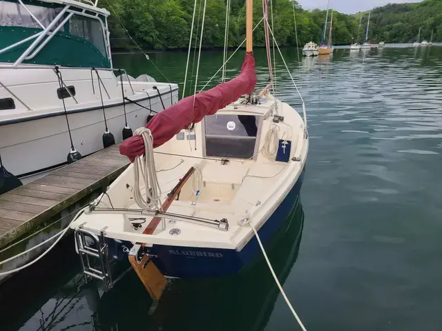 Cornish Crabbers Shrimper 19