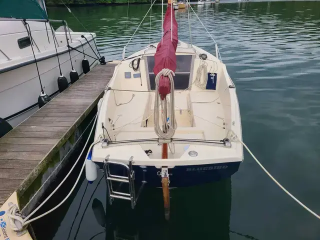 Cornish Crabbers Shrimper 19