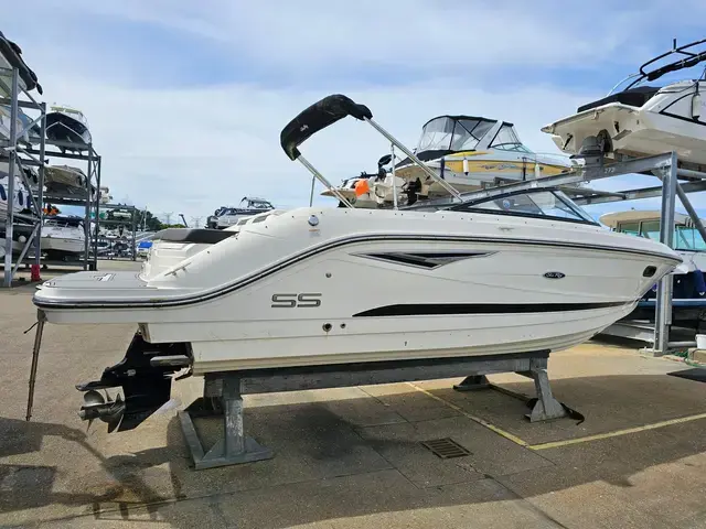 Sea Ray 250 Sse