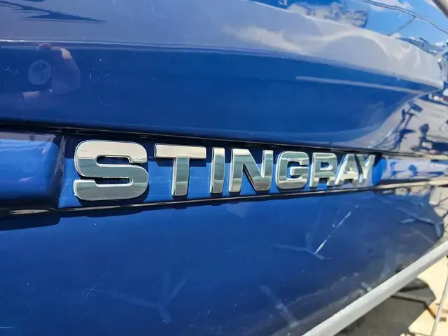 Stingray 250 CS