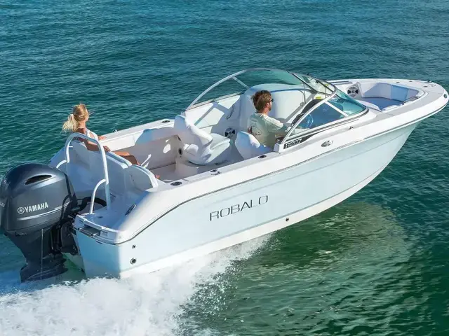 Unique ROBALO R207 Dual Console