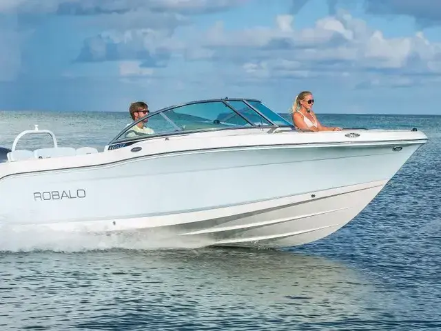 Unique ROBALO R207 Dual Console