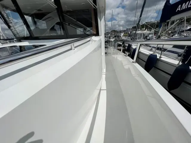 Sargo 33