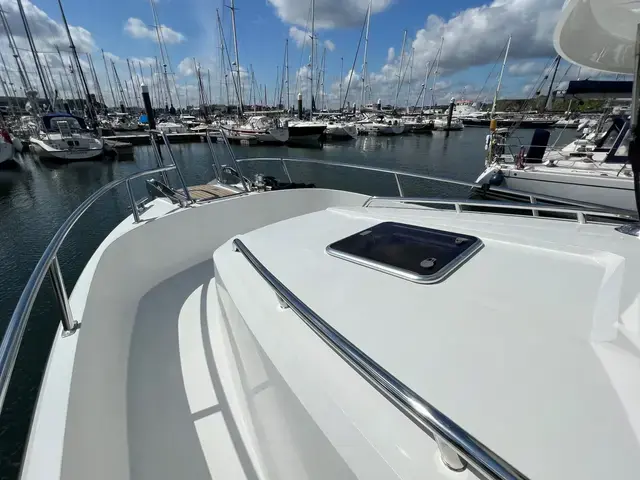 Sargo 33