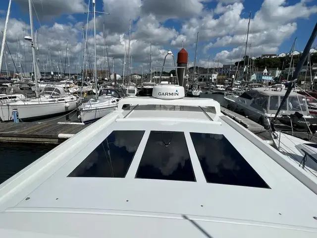 Sargo 33